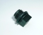 Cap Plug